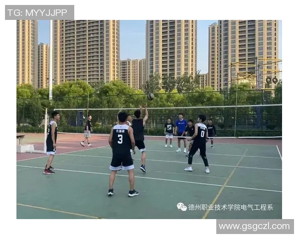 深圳排球队战术解析：从技术细节到团队协作的全方位探讨